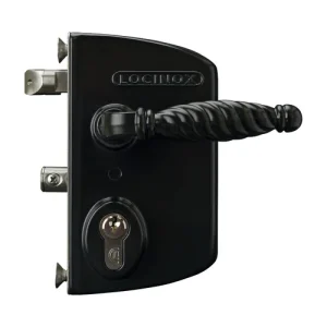 Locinox LAPQ U2 Industrial Gate Lock
